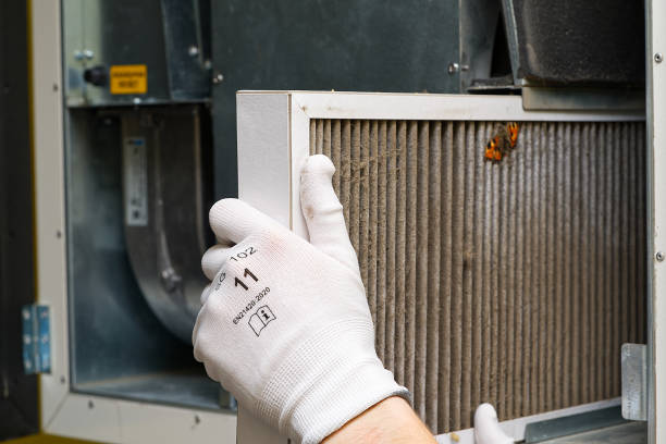 Best Air Quality Test  in Lubeck, WV