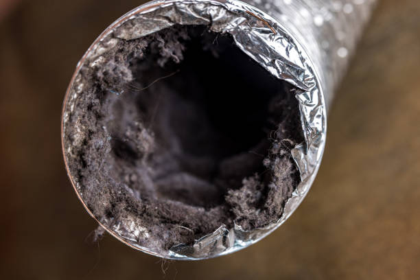 Best HVAC Duct Inspection Services  in Lubeck, WV