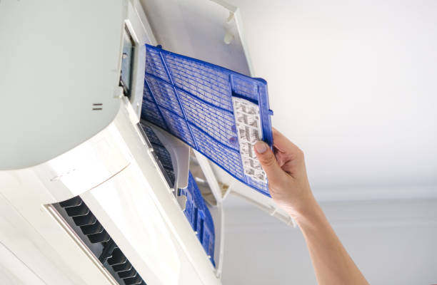 Best Affordable Duct Cleaning Services  in Lubeck, WV