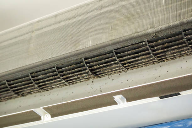 Best Commercial Air Duct Cleaning  in Lubeck, WV