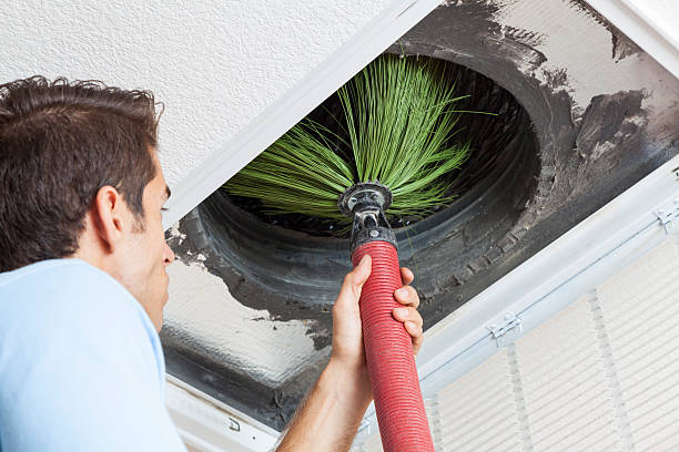 Best Air Duct Sanitizing Services  in Lubeck, WV