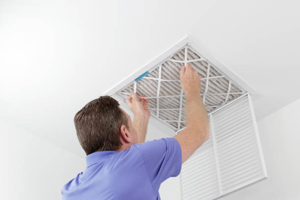 Best Air Duct Mold Removal  in Lubeck, WV